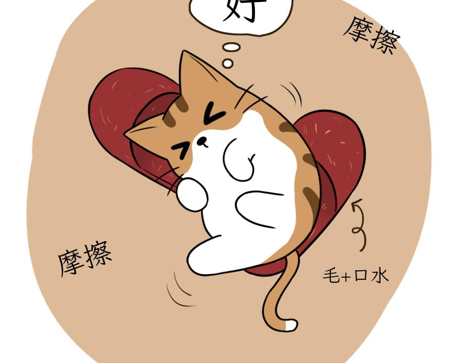 《吐司猫咪POUNDCAT》完美的借口 第31页