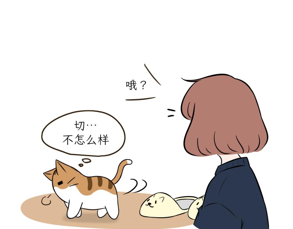 《吐司猫咪POUNDCAT》完美的借口 第37页