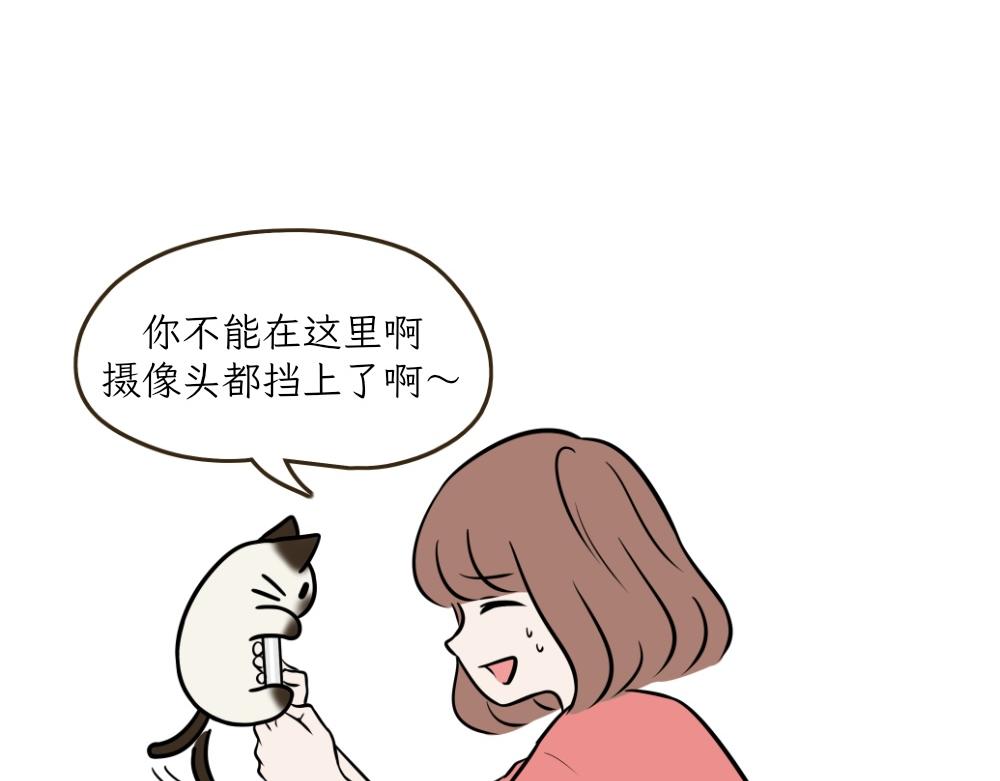 《吐司猫咪POUNDCAT》捉迷藏 第11页