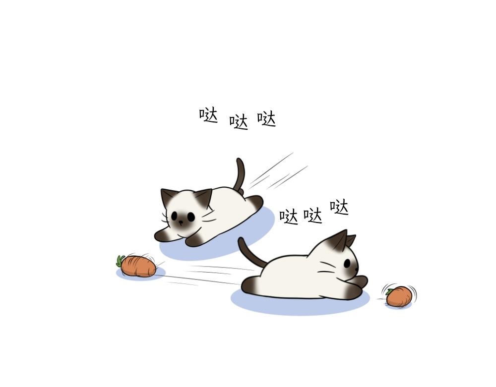 《吐司猫咪POUNDCAT》捉迷藏 第16页