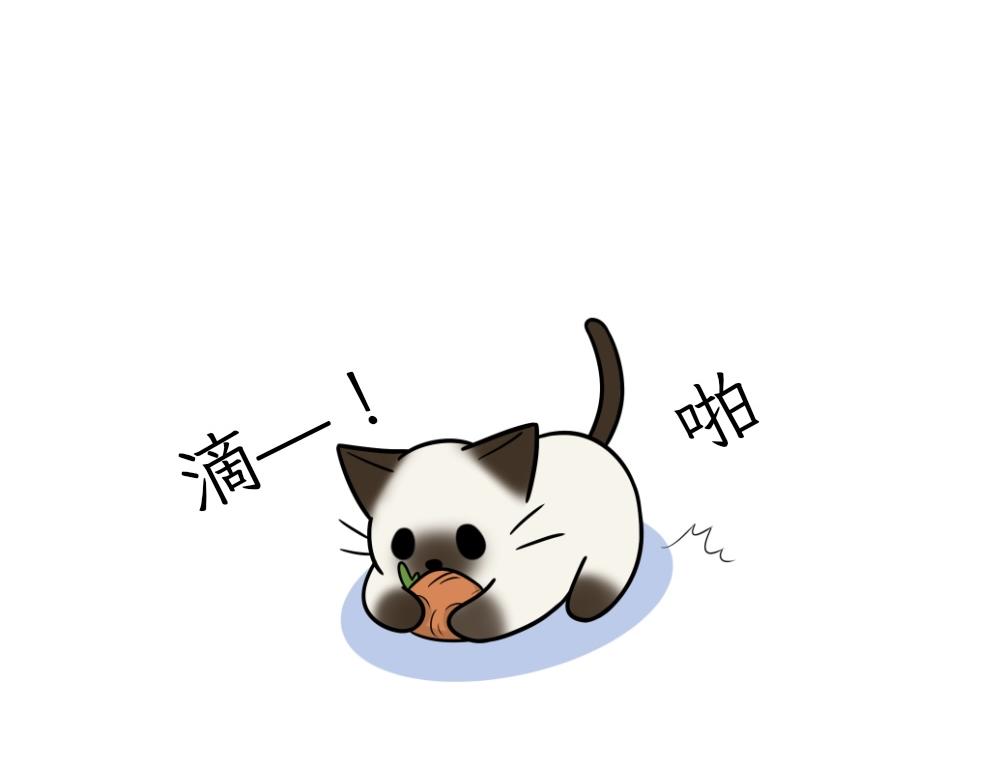 《吐司猫咪POUNDCAT》捉迷藏 第17页