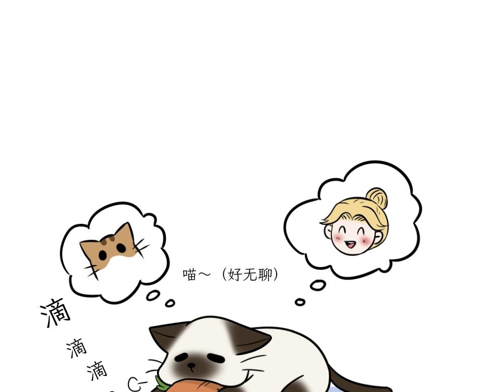 《吐司猫咪POUNDCAT》捉迷藏 第18页