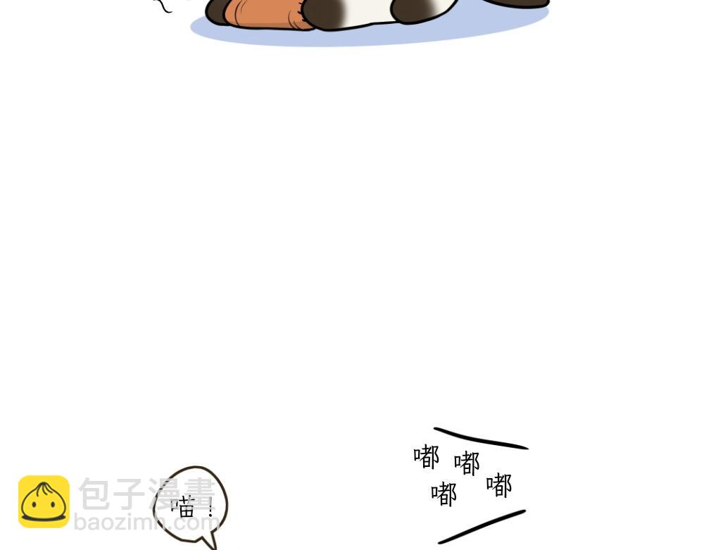 《吐司猫咪POUNDCAT》捉迷藏 第19页