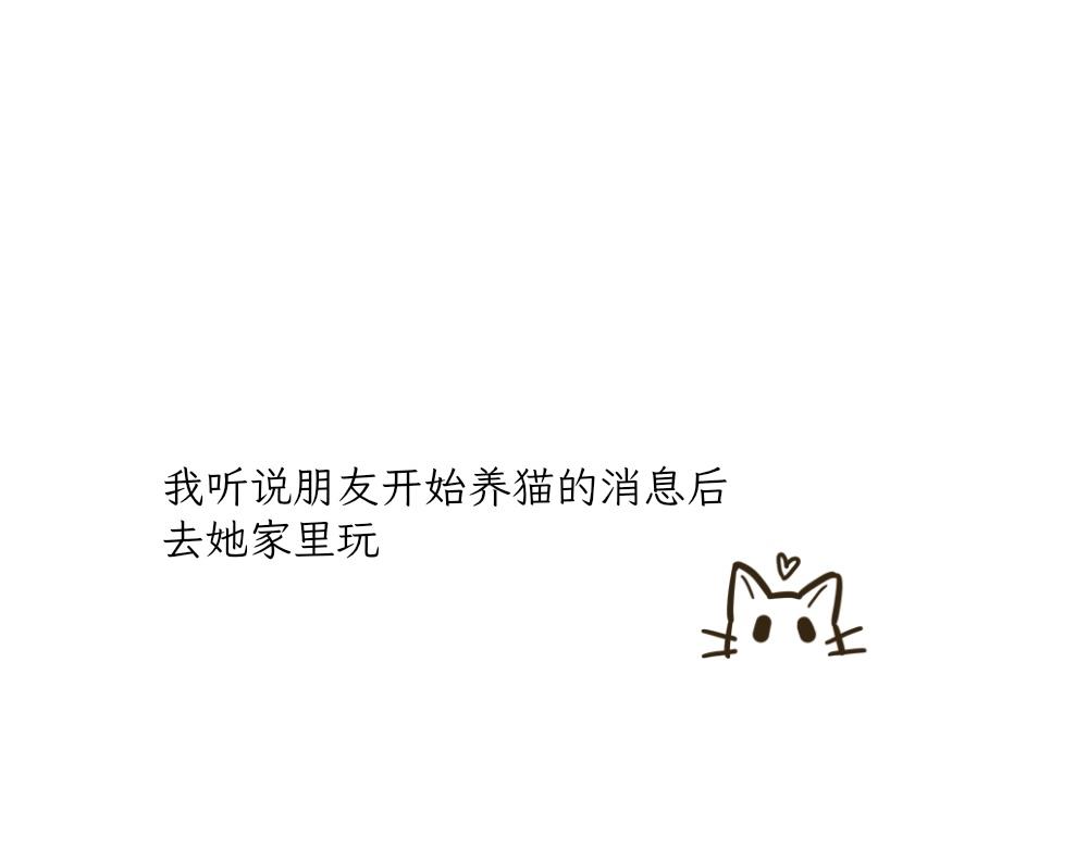 《吐司猫咪POUNDCAT》捉迷藏 第1页