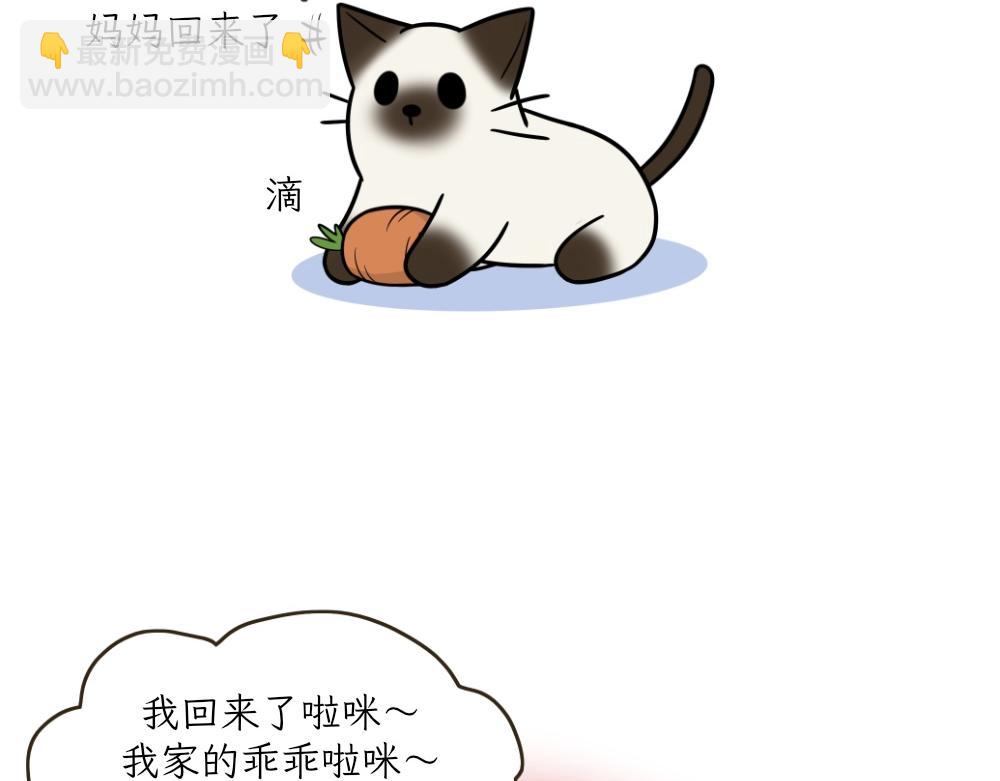《吐司猫咪POUNDCAT》捉迷藏 第20页