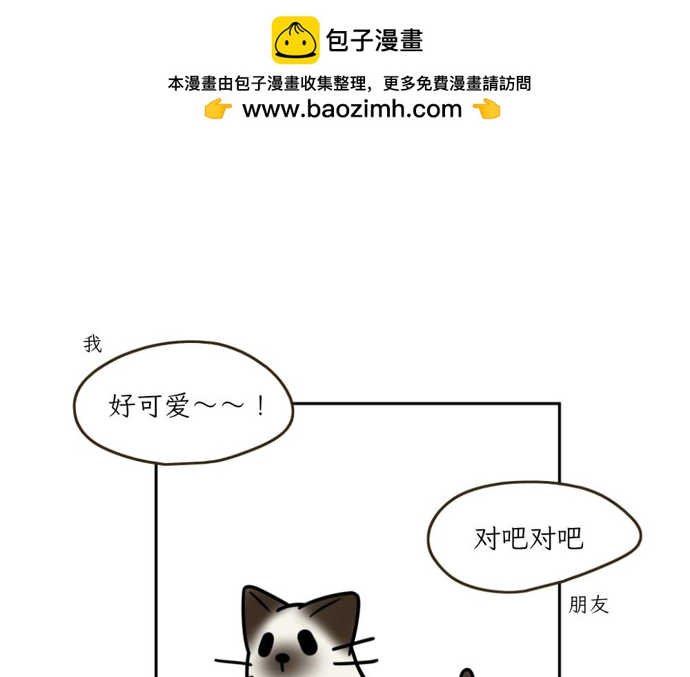 《吐司猫咪POUNDCAT》捉迷藏 第2页