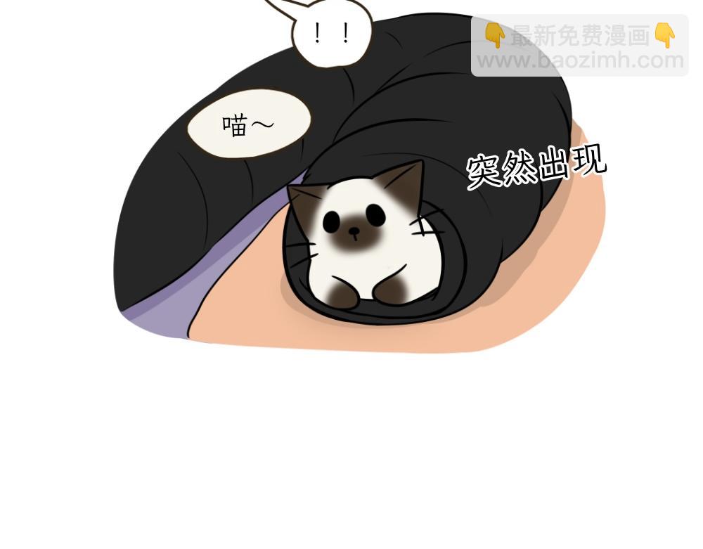 《吐司猫咪POUNDCAT》捉迷藏 第31页