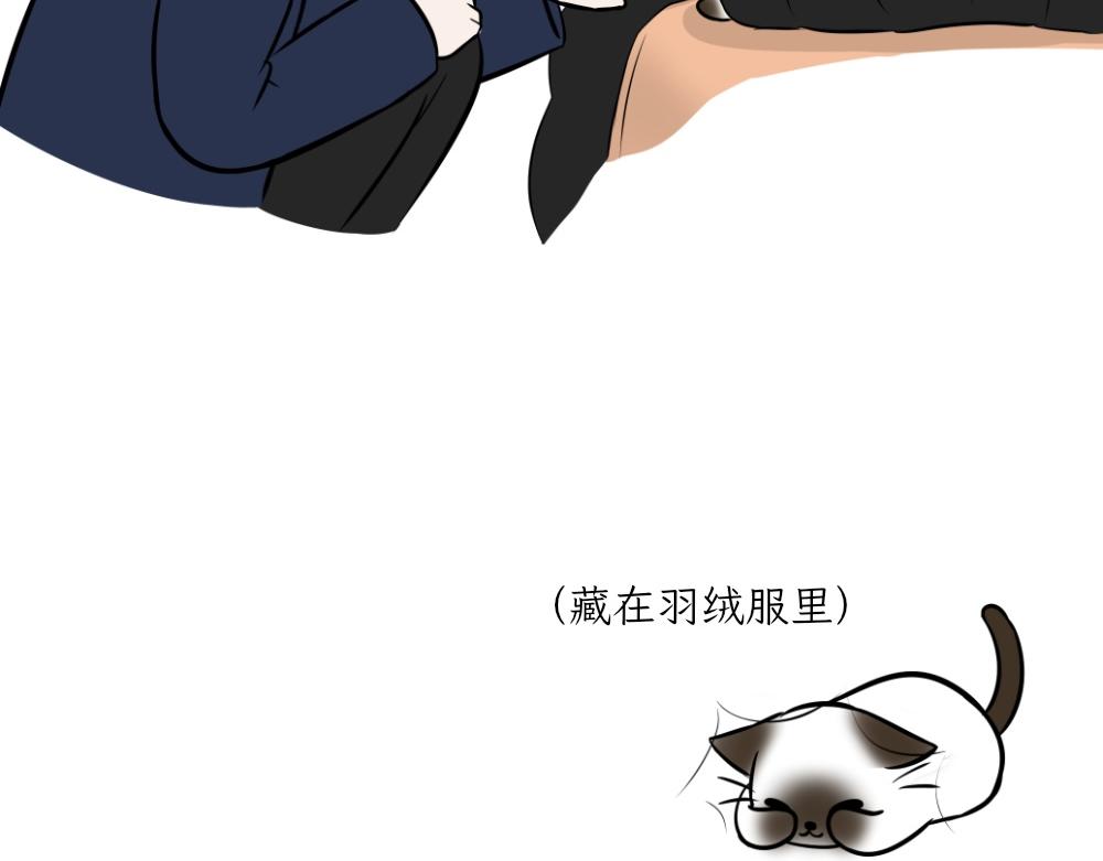 《吐司猫咪POUNDCAT》捉迷藏 第33页