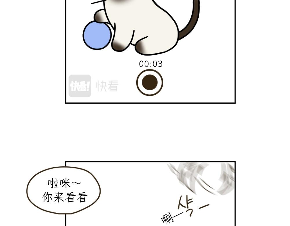 《吐司猫咪POUNDCAT》捉迷藏 第3页