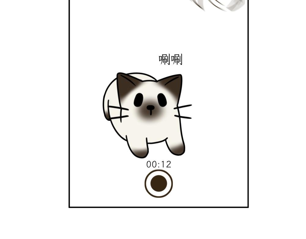《吐司猫咪POUNDCAT》捉迷藏 第5页