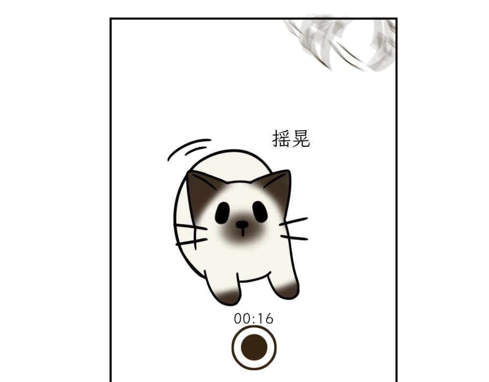 《吐司猫咪POUNDCAT》捉迷藏 第6页
