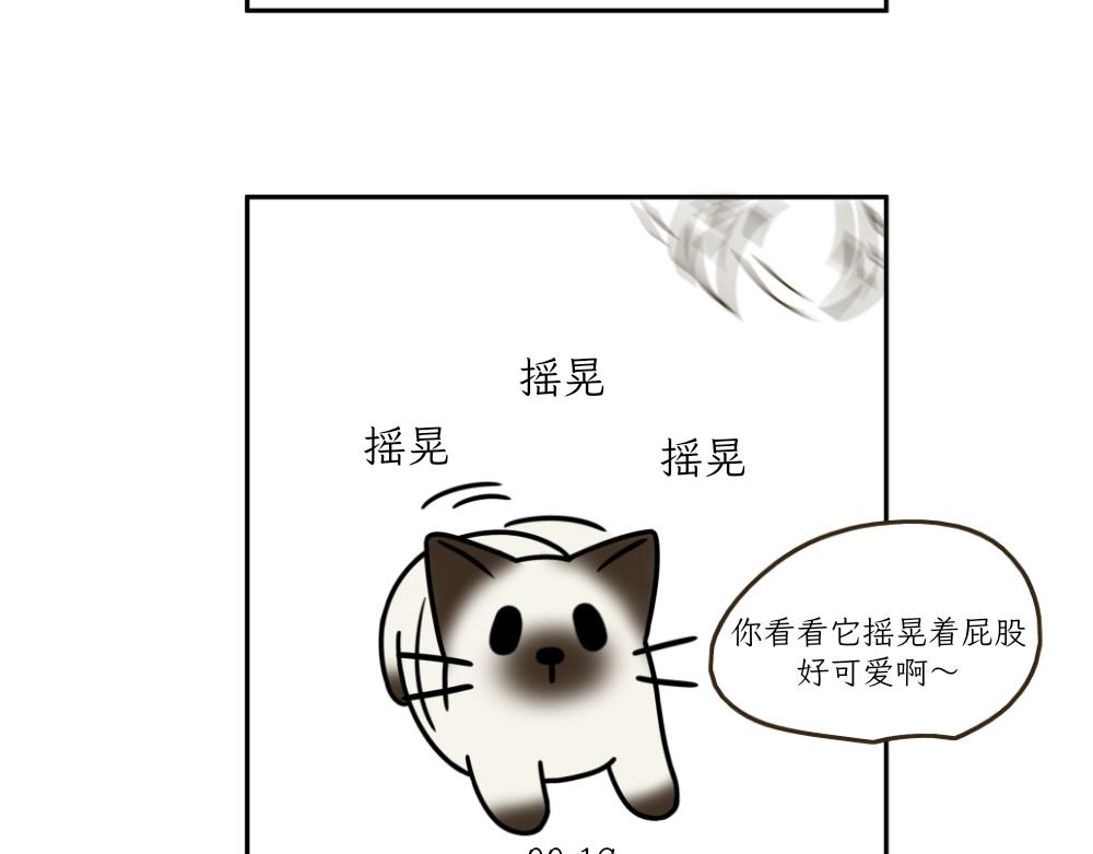 《吐司猫咪POUNDCAT》捉迷藏 第7页