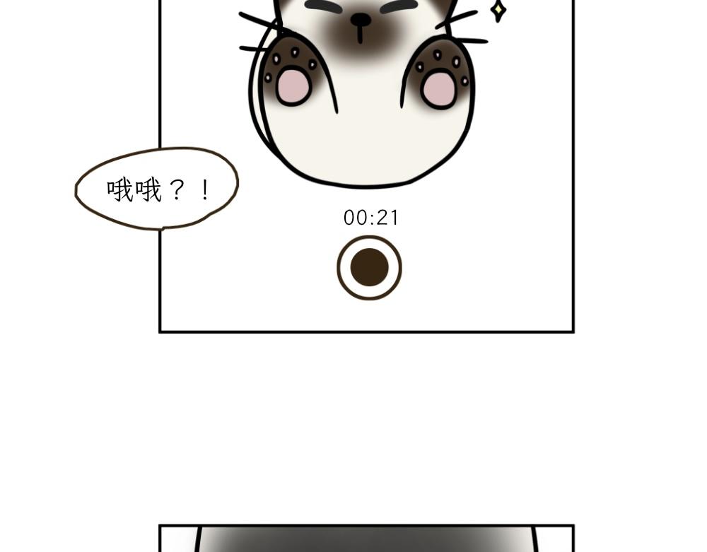 《吐司猫咪POUNDCAT》捉迷藏 第9页