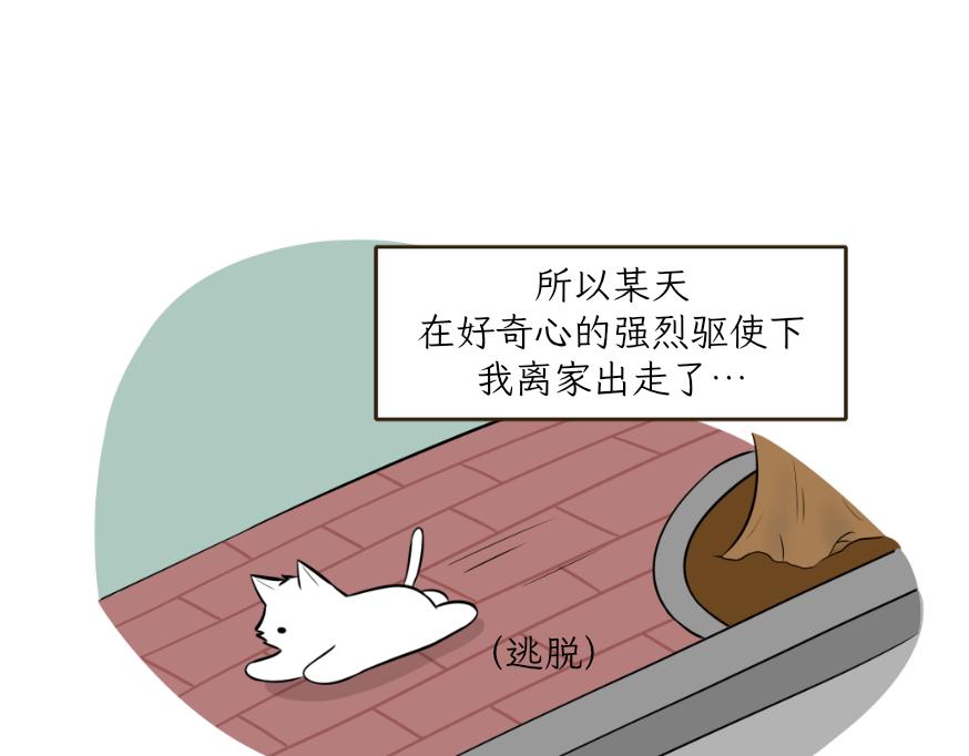 《吐司猫咪POUNDCAT》酸奶历险记 第11页