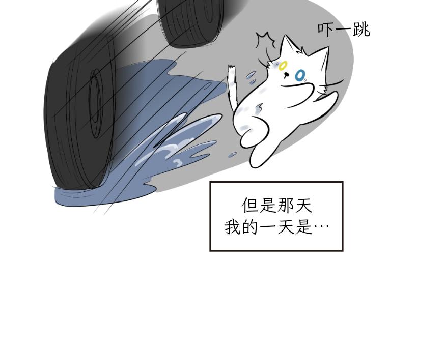 《吐司猫咪POUNDCAT》酸奶历险记 第13页