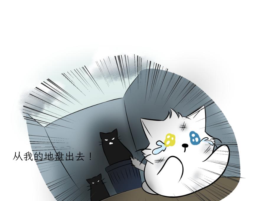 《吐司猫咪POUNDCAT》酸奶历险记 第14页