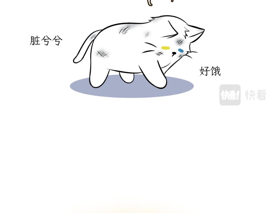 《吐司猫咪POUNDCAT》酸奶历险记 第16页