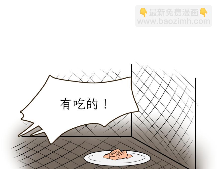 《吐司猫咪POUNDCAT》酸奶历险记 第18页