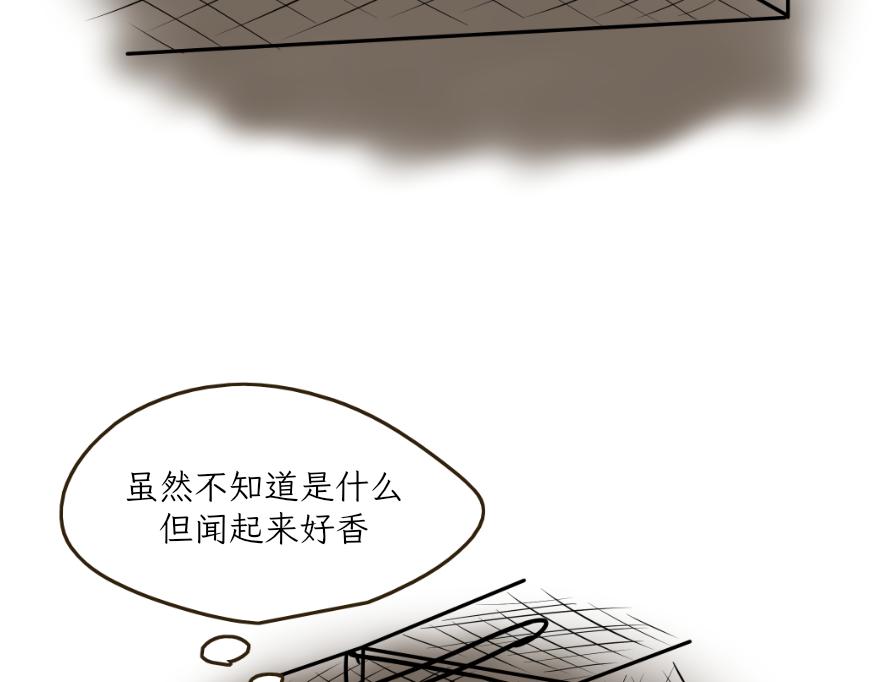 《吐司猫咪POUNDCAT》酸奶历险记 第19页