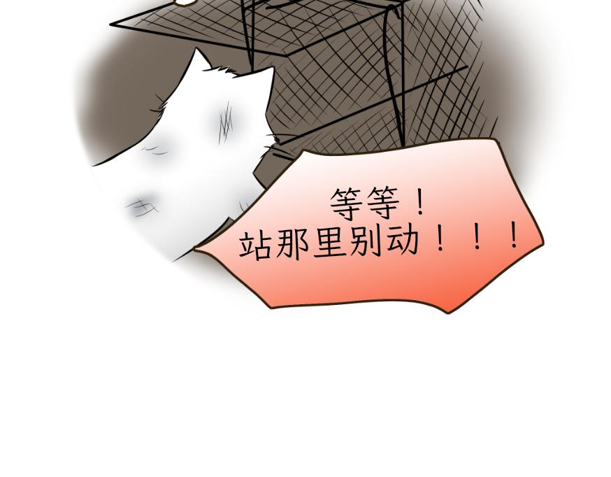 《吐司猫咪POUNDCAT》酸奶历险记 第20页