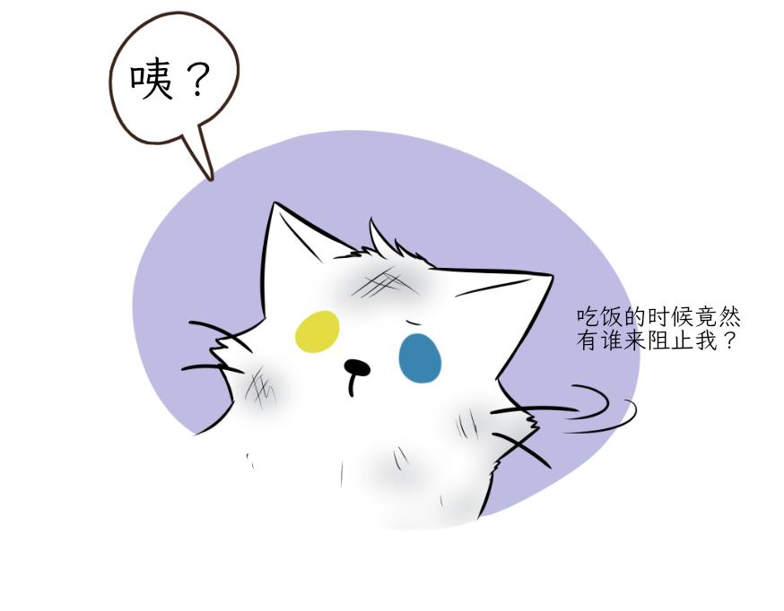 《吐司猫咪POUNDCAT》酸奶历险记 第21页