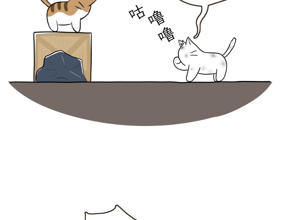 《吐司猫咪POUNDCAT》酸奶历险记 第26页