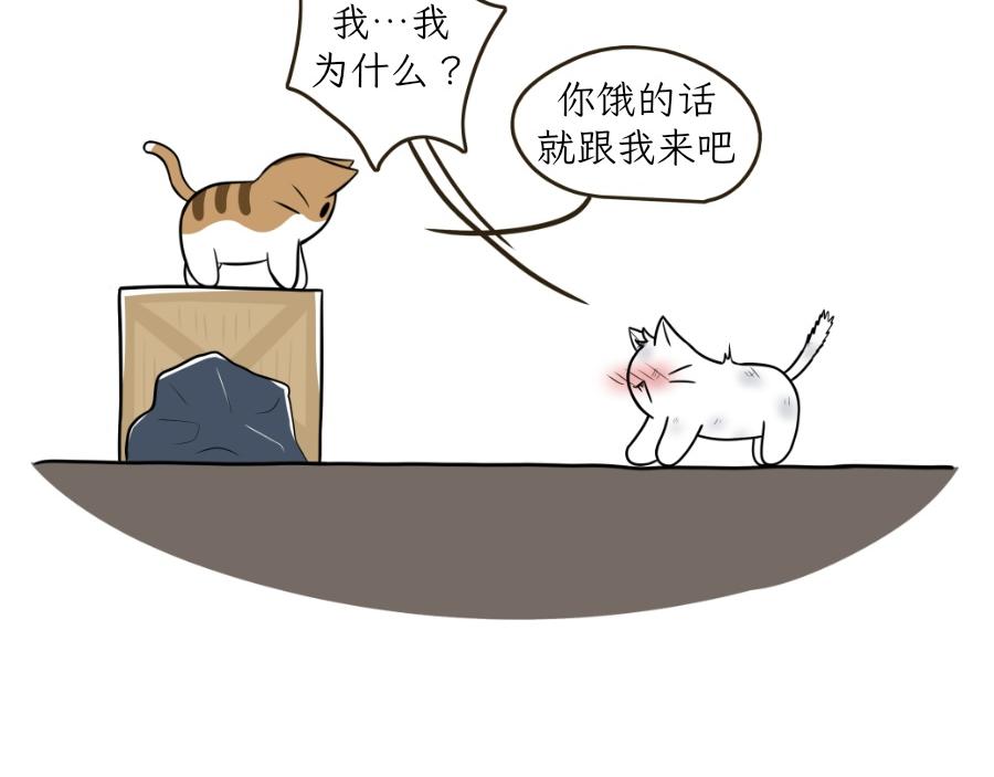 《吐司猫咪POUNDCAT》酸奶历险记 第27页