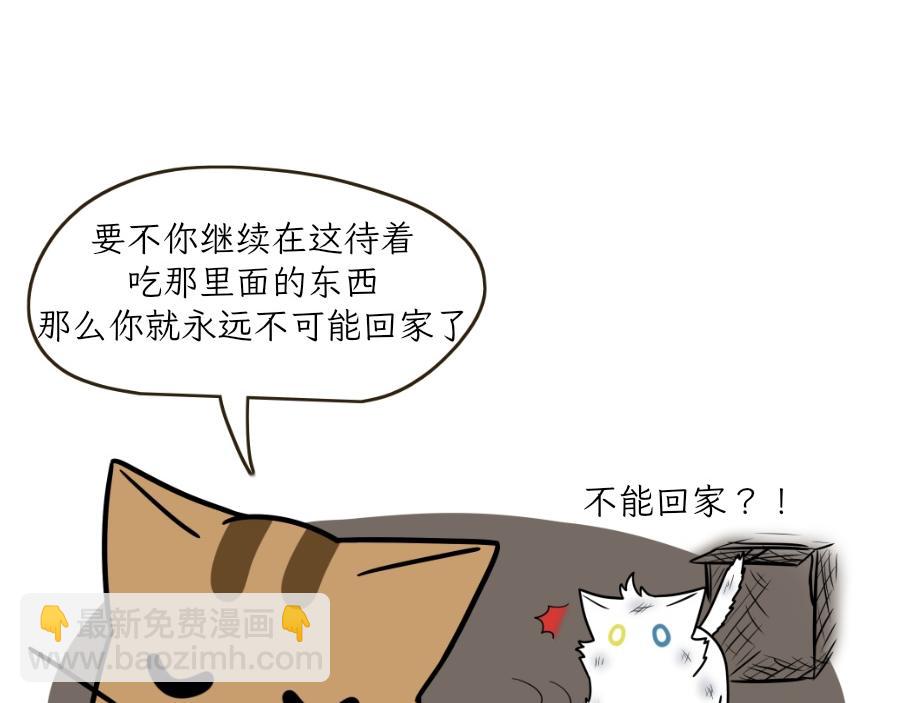 《吐司猫咪POUNDCAT》酸奶历险记 第28页