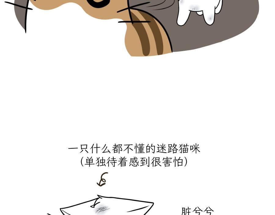 《吐司猫咪POUNDCAT》酸奶历险记 第29页