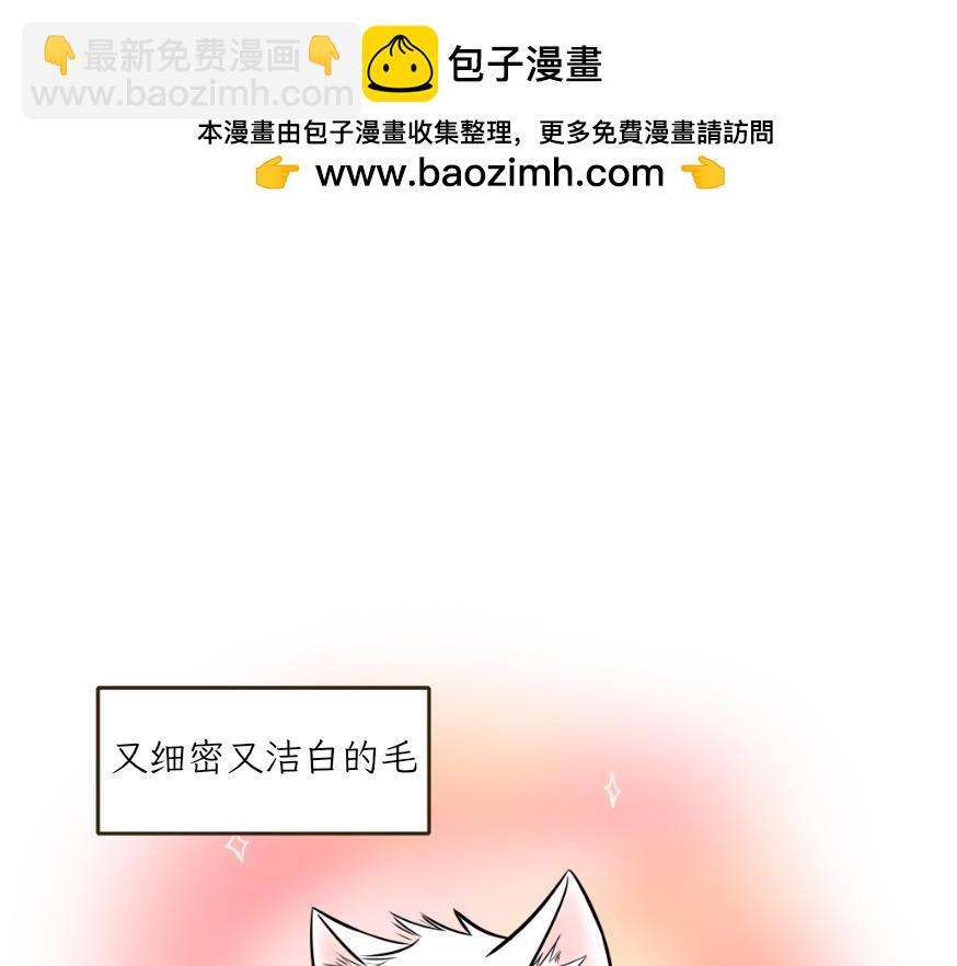 《吐司猫咪POUNDCAT》酸奶历险记 第2页