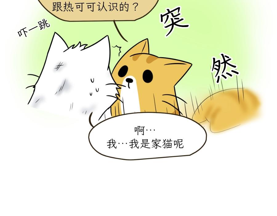 《吐司猫咪POUNDCAT》酸奶历险记 第34页