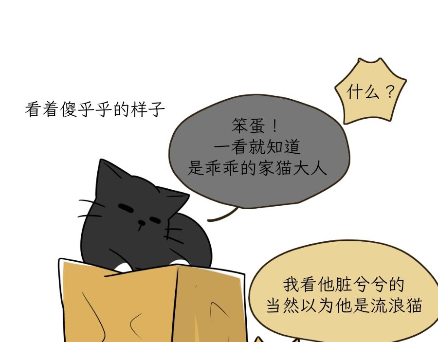 《吐司猫咪POUNDCAT》酸奶历险记 第35页