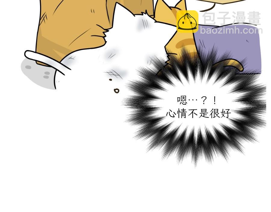《吐司猫咪POUNDCAT》酸奶历险记 第36页