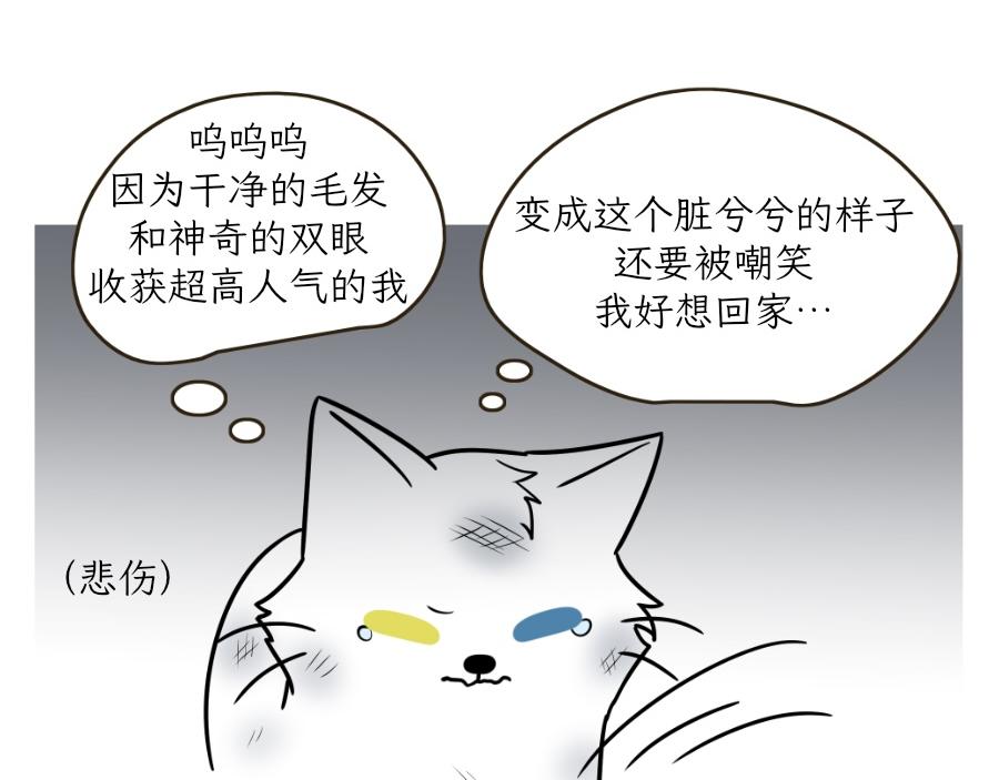 《吐司猫咪POUNDCAT》酸奶历险记 第37页
