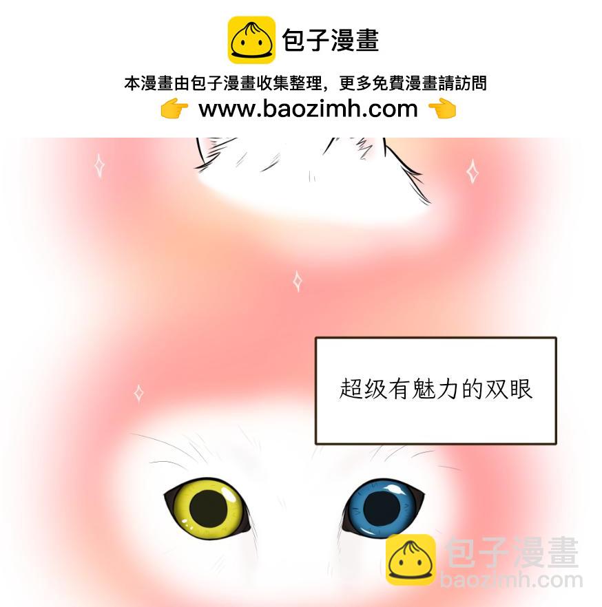 《吐司猫咪POUNDCAT》酸奶历险记 第3页