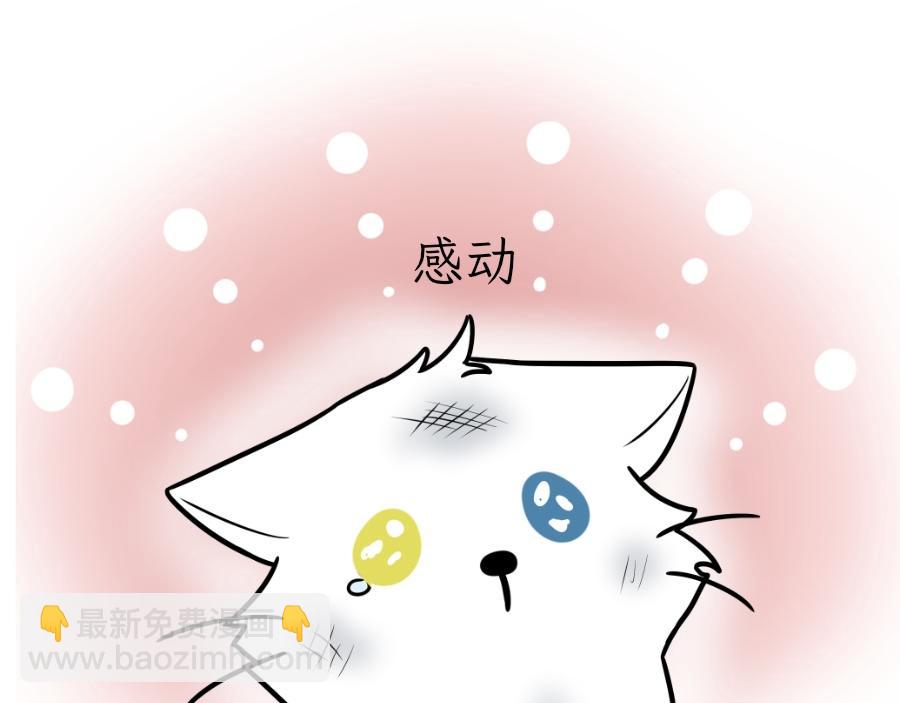 《吐司猫咪POUNDCAT》酸奶历险记 第40页