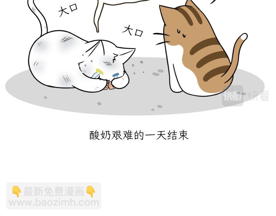 《吐司猫咪POUNDCAT》酸奶历险记 第42页