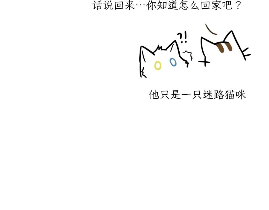《吐司猫咪POUNDCAT》酸奶历险记 第43页