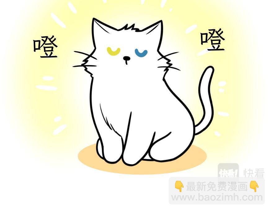 《吐司猫咪POUNDCAT》酸奶历险记 第5页