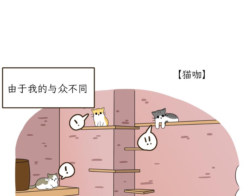 《吐司猫咪POUNDCAT》酸奶历险记 第6页