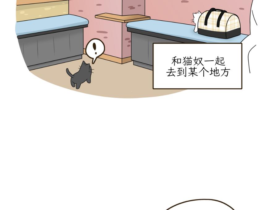 《吐司猫咪POUNDCAT》酸奶历险记 第7页