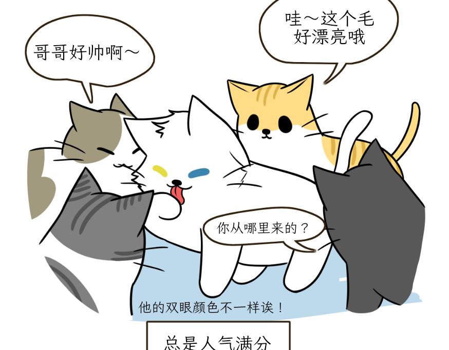 《吐司猫咪POUNDCAT》酸奶历险记 第8页