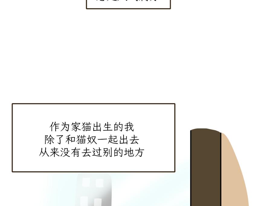 《吐司猫咪POUNDCAT》酸奶历险记 第9页