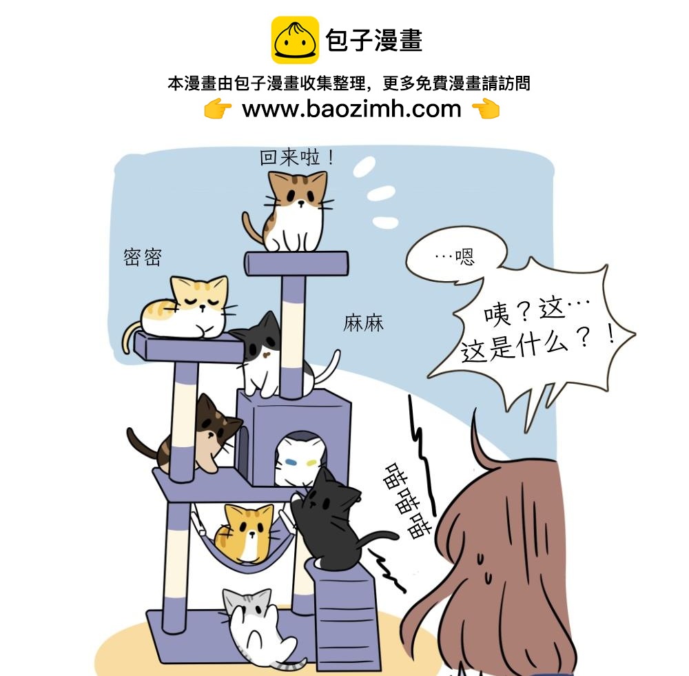 《吐司猫咪POUNDCAT》热可可的朋友们 第12页