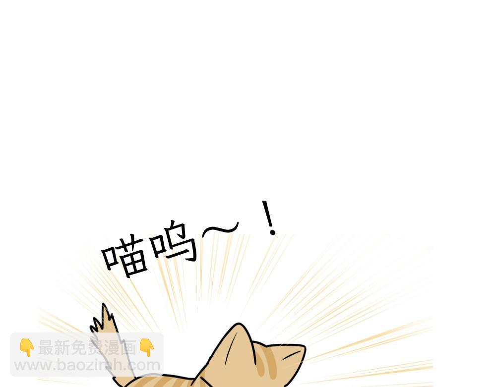 《吐司猫咪POUNDCAT》热可可的朋友们 第14页
