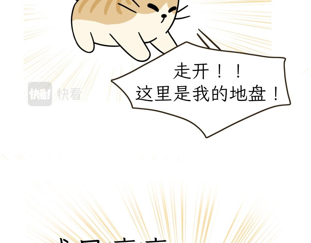 《吐司猫咪POUNDCAT》热可可的朋友们 第15页