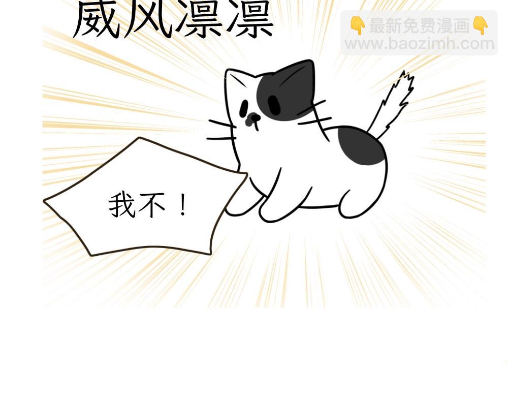 《吐司猫咪POUNDCAT》热可可的朋友们 第16页
