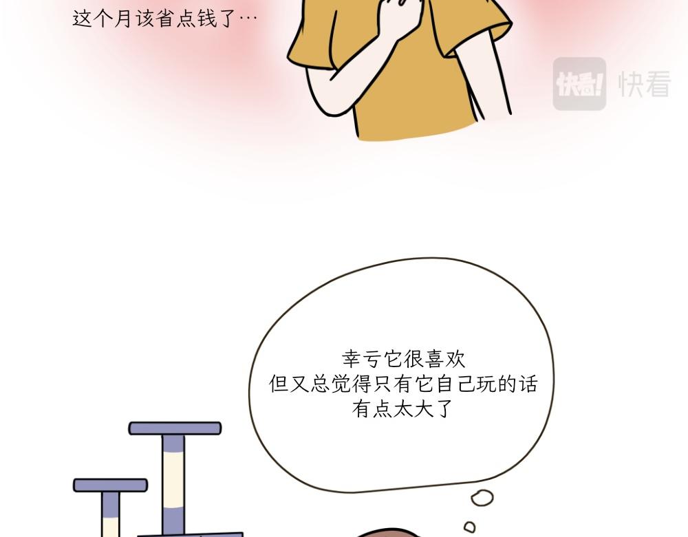 《吐司猫咪POUNDCAT》热可可的朋友们 第6页
