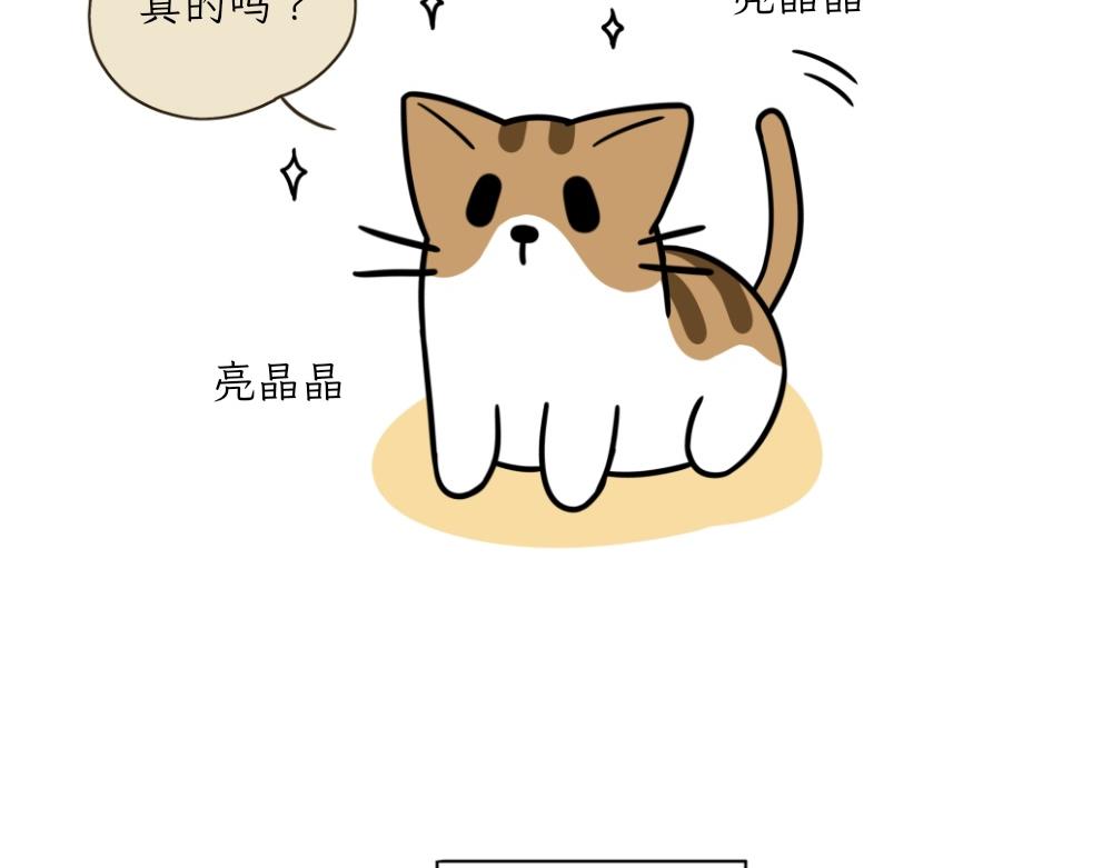 《吐司猫咪POUNDCAT》热可可的朋友们 第9页