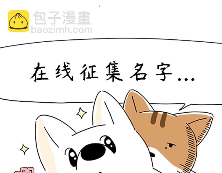 《吐司猫咪POUNDCAT》热可可的新家人 第10页